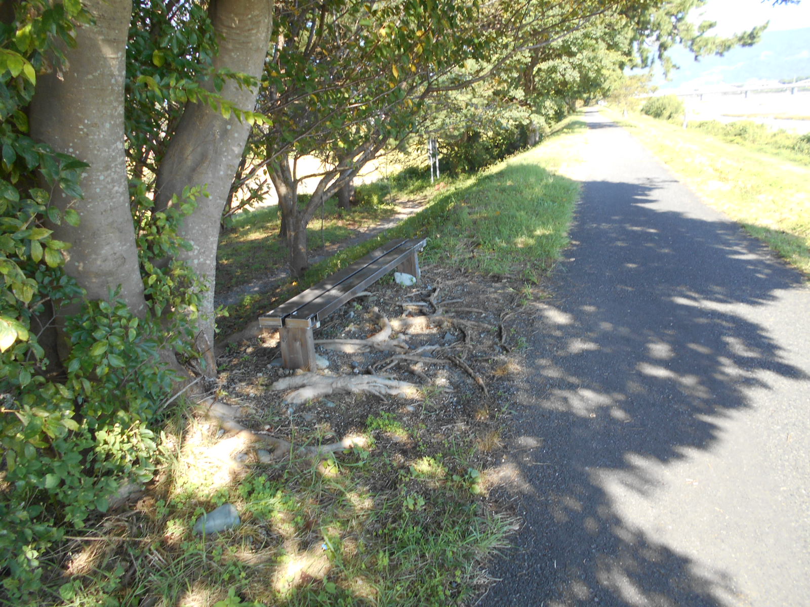 arawado_酒匂川サイクリングコース_3_風景5