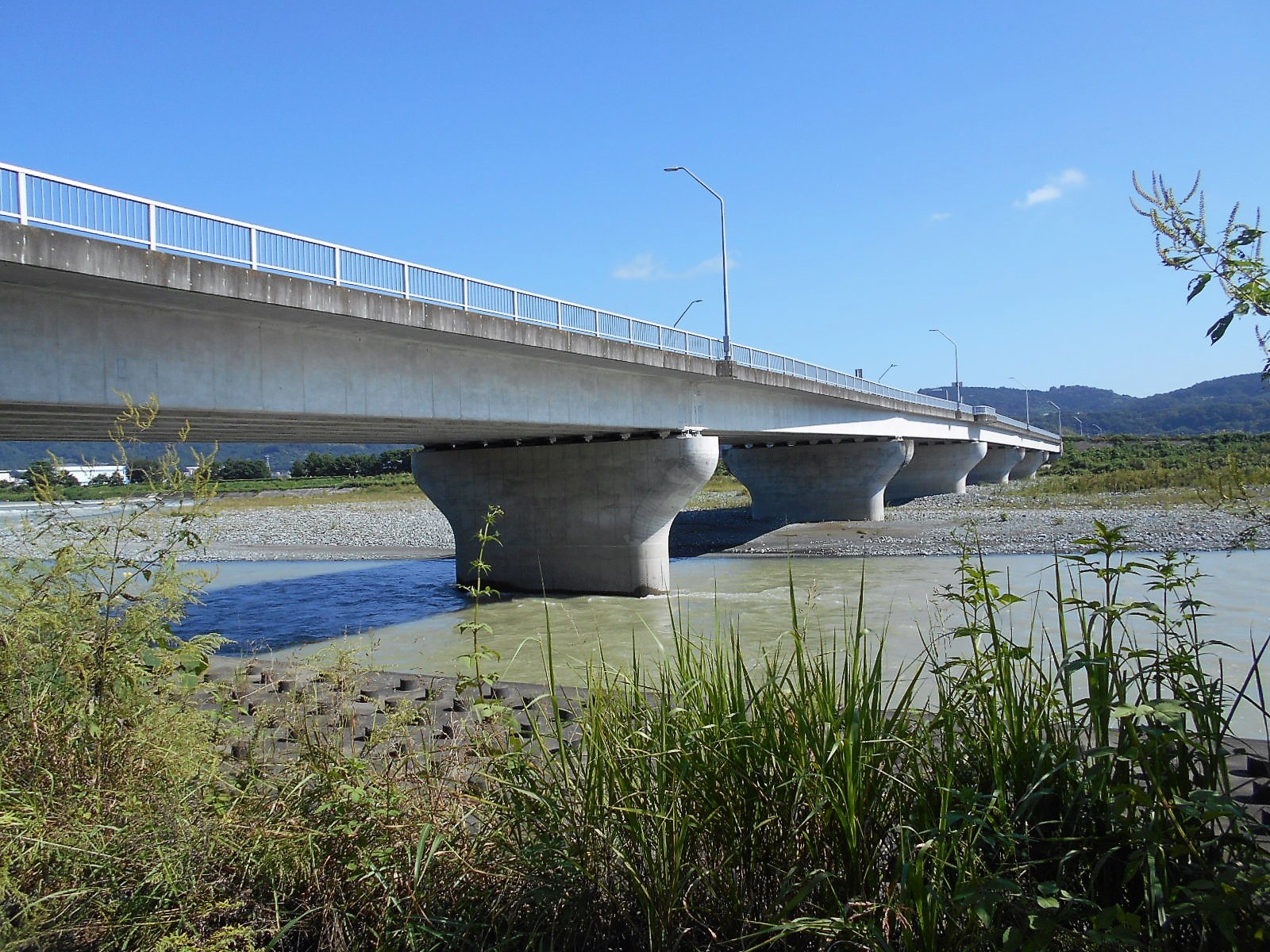 arawado_酒匂川サイクリングコース_5_風景10_足柄紫水大橋