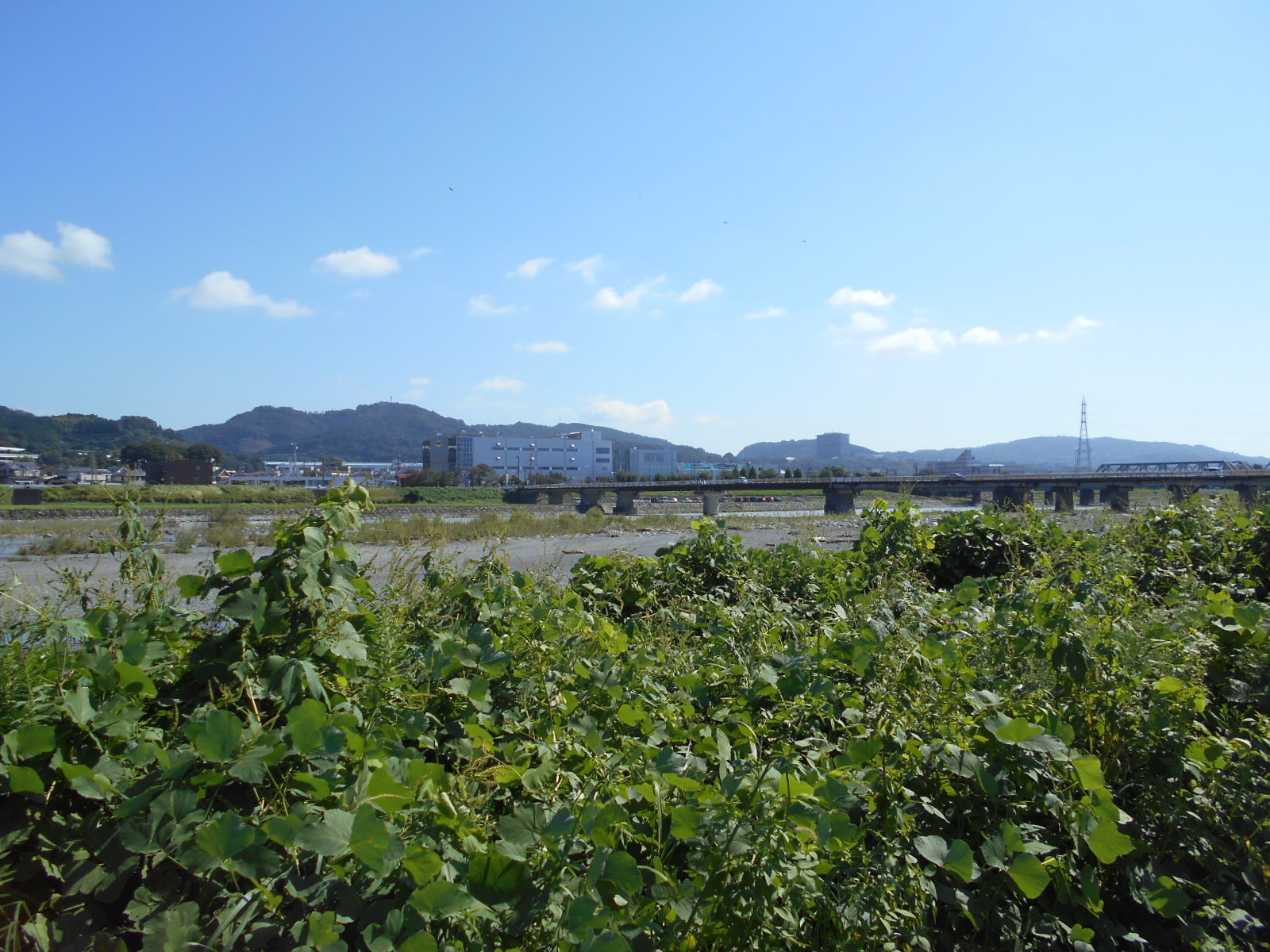 arawado_酒匂川サイクリングコース_8_風景3