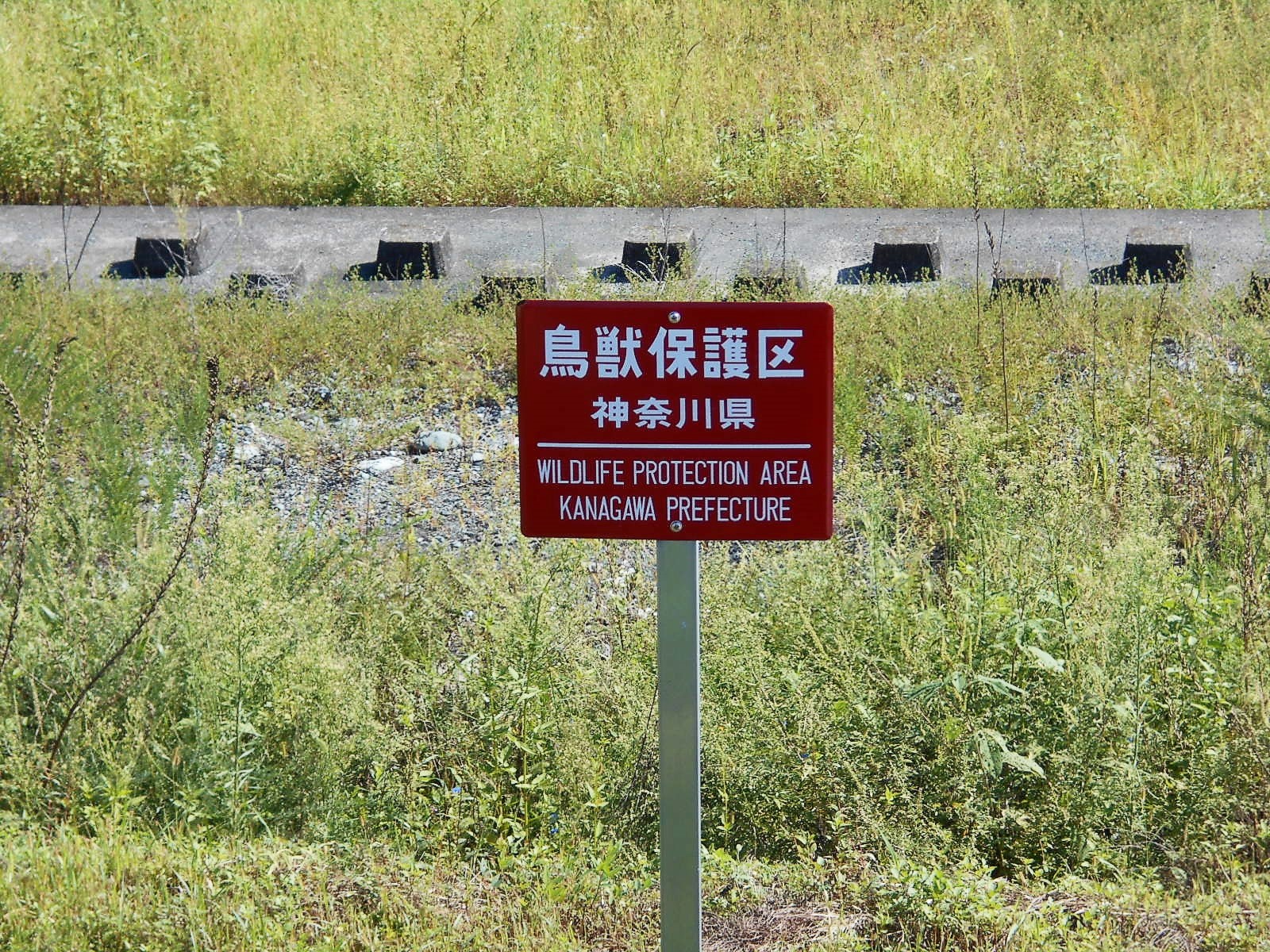 arawado_酒匂川サイクリングコース_3_風景10_鳥獣保護区