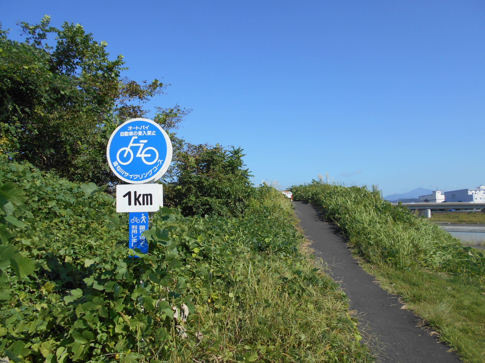 arawado_酒匂川サイクリングコース_1_風景1_標識