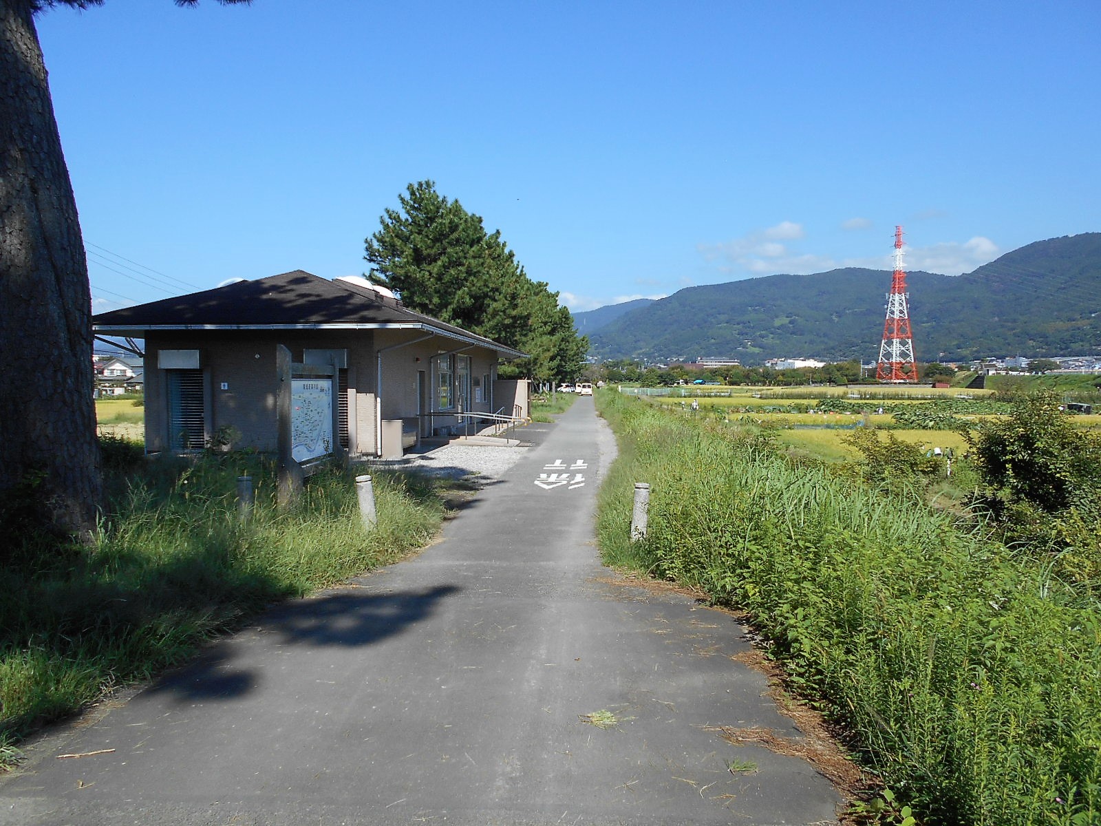 arawado_酒匂川サイクリングコース_6_風景5_酒匂川ふれあい館