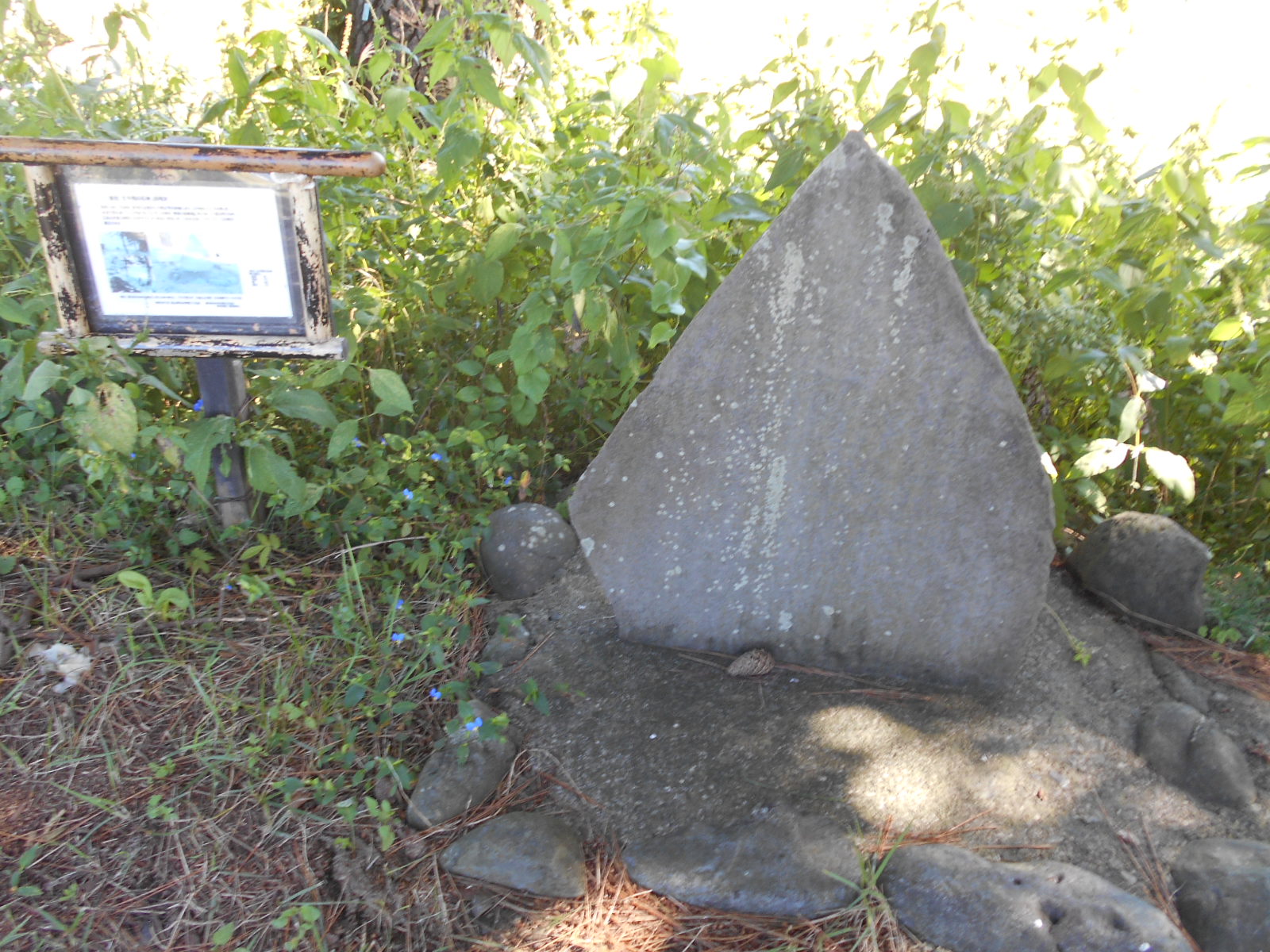 arawado_酒匂川サイクリングコース_4_風景6_曽比・土手間の石碑