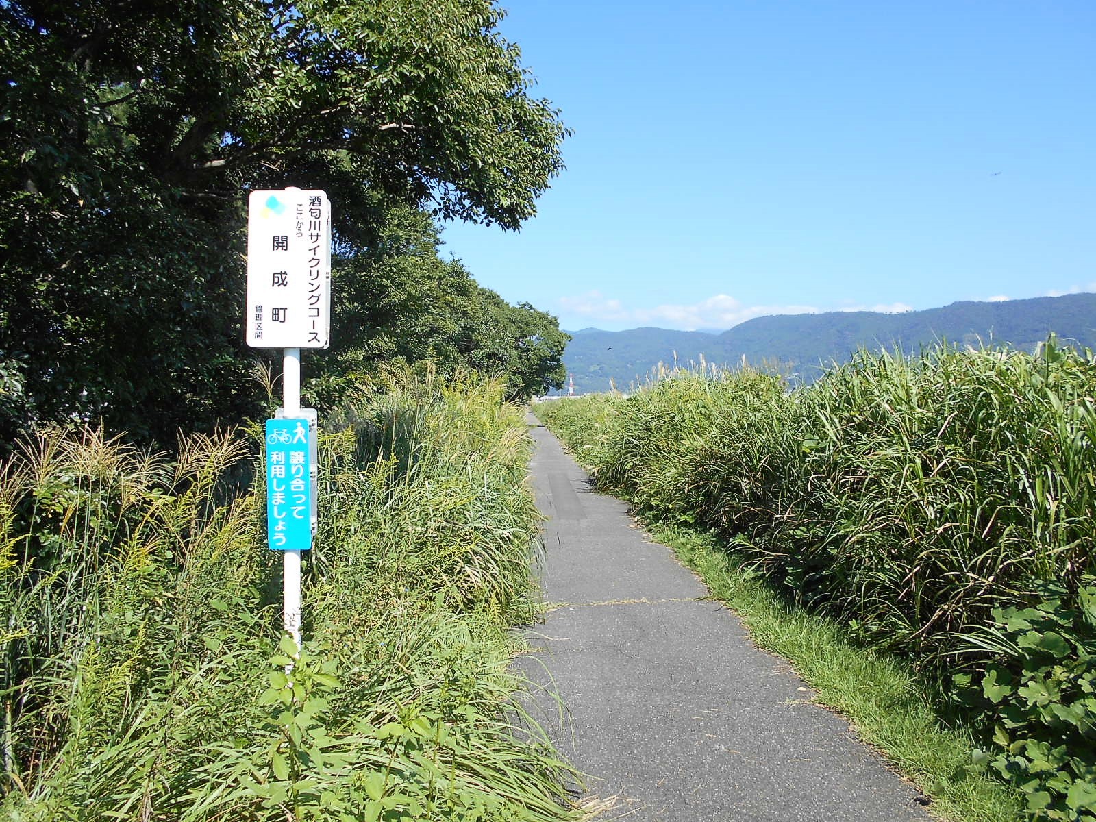 arawado_酒匂川サイクリングコース_5_風景8_開成町