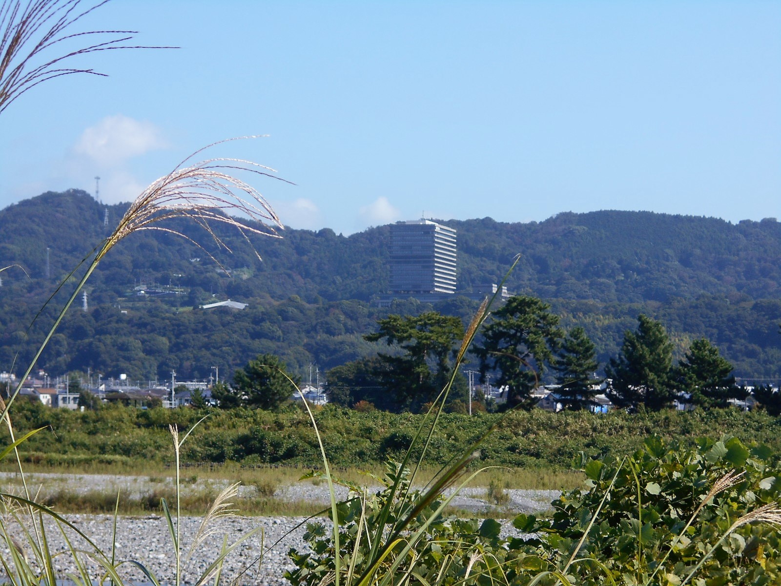 arawado_酒匂川サイクリングコース_5_風景7