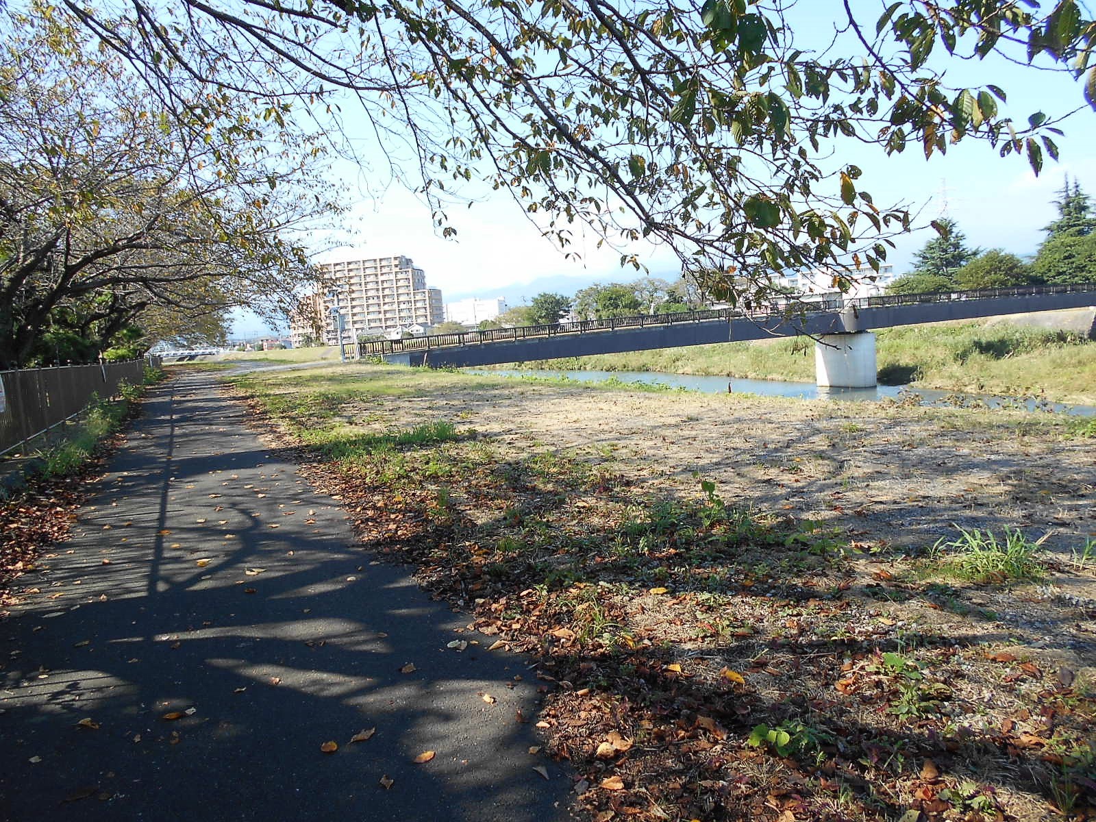 arawado_酒匂川サイクリングコース_0_風景3_道なり