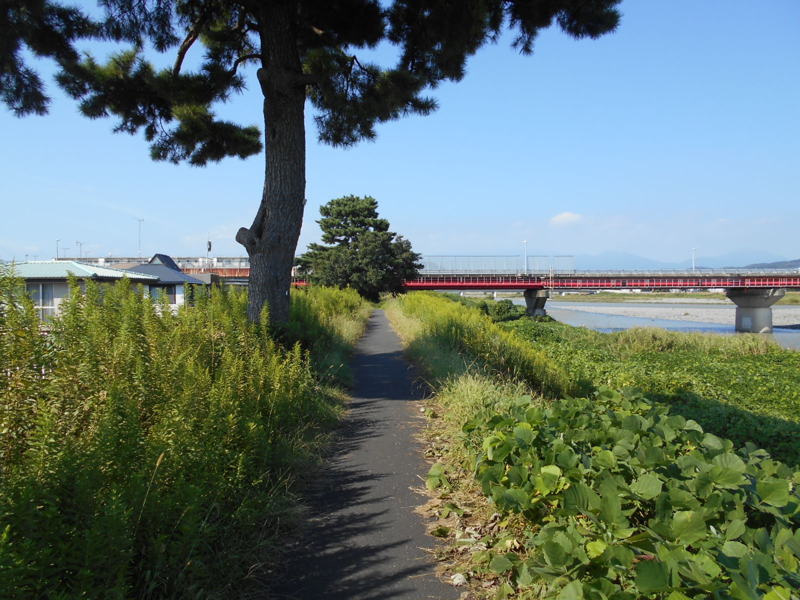 arawado_酒匂川サイクリングコース_0_風景10_小田原厚木道路